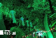 Foto: Managua celebra su 3er aniversario como Ciudad Creativa con "Naturaleza Encendida"/TN8