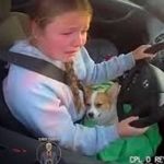 Historia conmovedora en Texas: una niña salva a su cachorro Foto:Niña de 12 años salva a su cachorro/Cortesía