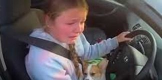 Foto:Niña de 12 años salva a su cachorro/Cortesía