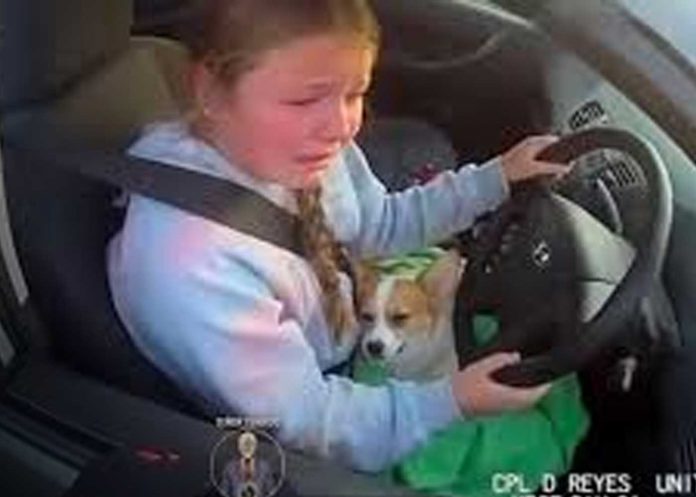 1 Foto:Niña de 12 años salva a su cachorro/Cortesía