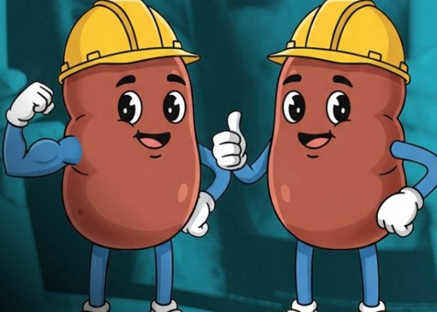 Foto:Video educativo de “Los hermanos riñones”/Cortesía