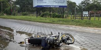 Foto: Accidente en Jalapa, Nueva Segovia: motociclista choca con un caballo/TN8