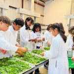 Comandante Fidel impulsa producción y procesamiento del marango en Nicaragua