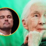 “Mi heroína”: El emotivo adiós de Leonardo DiCaprio a Jane Goodall Foto: Leonardo DiCaprio despide a Jane Goodall /cortesía