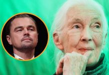 Foto: Leonardo DiCaprio despide a Jane Goodall /cortesía