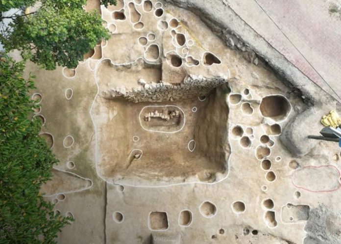 Foto: Hallazgo en Corea del Sur /cortesía Foto: Hallazgo en Corea del Sur /cortesía