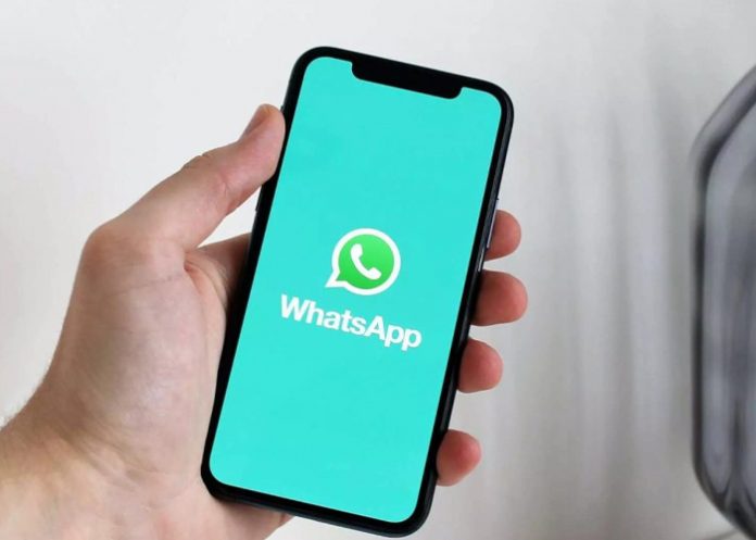 Foto: Varios modelos de celulares dejarán de poder usar WhatsApp / cortesía Foto: Varios modelos de celulares dejarán de poder usar WhatsApp / cortesía