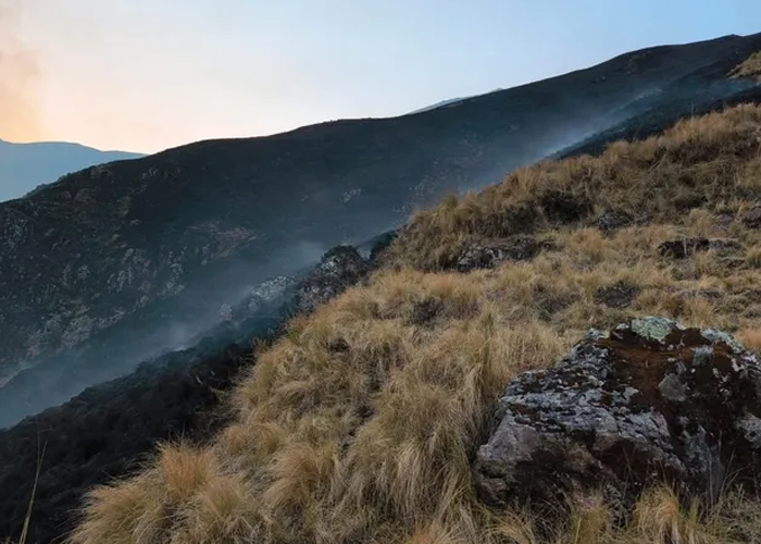 Foto: Evalúan acciones legales contra montañista responsable del incendio / Cortesía