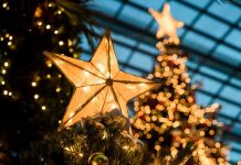 Foto: Descubre las fechas tradicionales para armar el árbol de Navidad según la religión / Cortesía