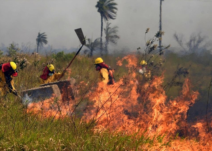 Foto: Fuego arrasa reservas de Bolivia y Paraguay/ Cortesía