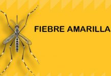 Foto: Nicaragua incorporará vacuna contra fiebre amarilla al esquema infantil en 2026 / Cortesía