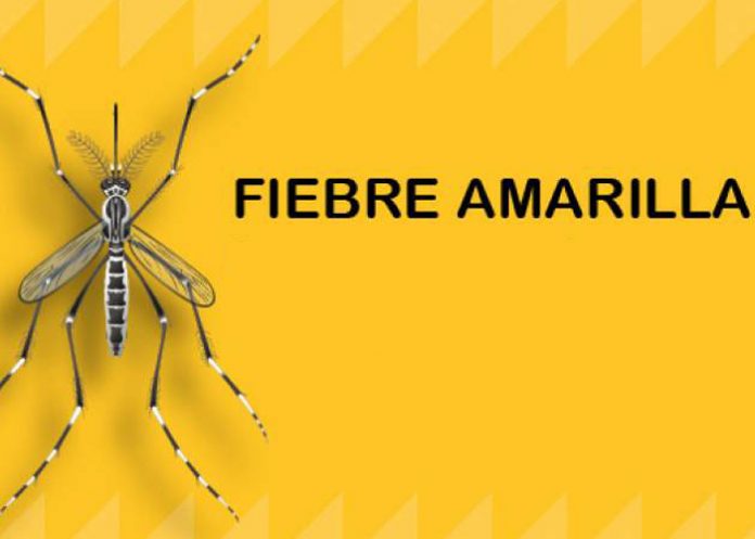 1 Foto: Nicaragua incorporará vacuna contra fiebre amarilla al esquema infantil en 2026 / Cortesía