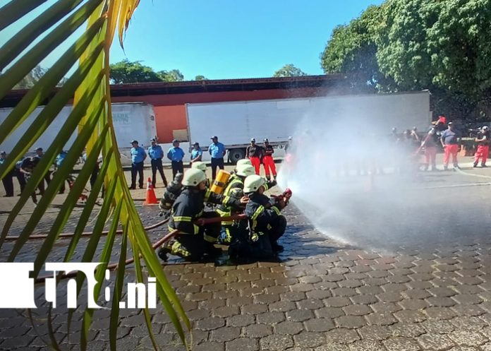 Foto: Bomberos fortalecen sus capacidades /TN8 Foto: Bomberos fortalecen sus capacidades /TN8