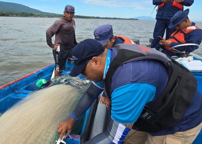 Foto: Realizan patrullaje marino en el Golfo de Fonseca para proteger recursos pesqueros / Cortesía