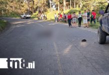 Segunda víctima en menos de 24 horas por accidentes de tránsito en Nueva Segovia Foto: Segunda víctima en menos de 24 horas por accidentes de tránsito en Nueva Segovia/TN8
