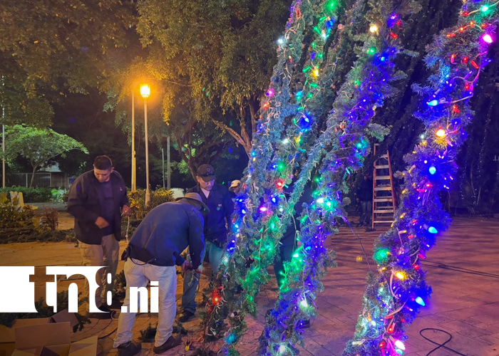 Foto: ¡Managua se ilumina! ENATREL instala decoraciones y árboles navideños en toda la capital/TN8