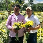 Producción de flores proyecta crecimiento en octubre 2025 en Nicaragua Foto: Producción de flores proyecta crecimiento en octubre 2025 en Nicaragua/Cortesía