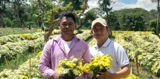 Foto: Producción de flores proyecta crecimiento en octubre 2025 en Nicaragua/Cortesía