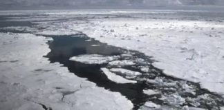 Foto: Rusia da vida al Ártico /cortesía