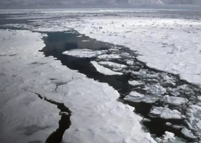 Foto: Rusia da vida al Ártico /cortesía Foto: Rusia da vida al Ártico /cortesía