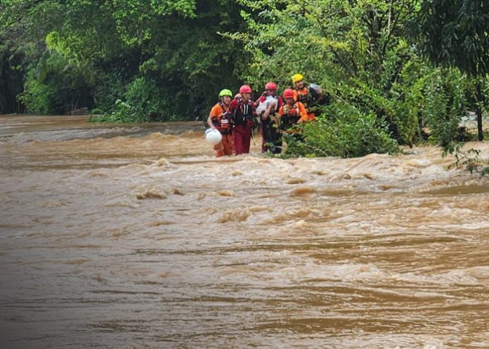 Foto: Muertes en Panamá /cortesía Foto: Muertes en Panamá /cortesía
