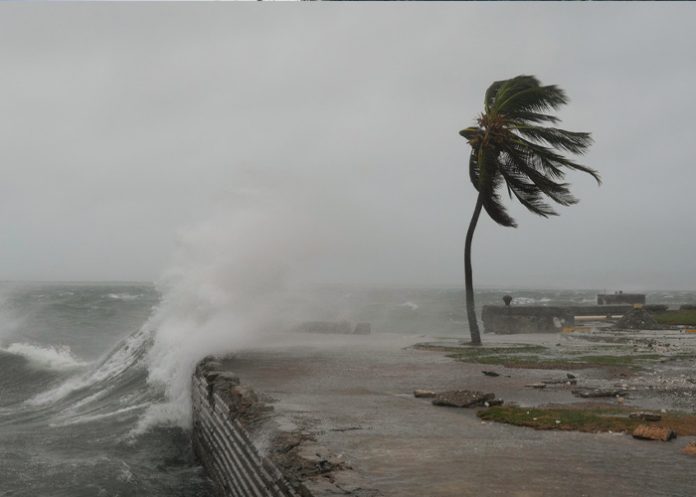 Foto: Desastre en Jamaica: videos muestran la potencia de Melissa/Cortesía Foto: Desastre en Jamaica: videos muestran la potencia de Melissa/Cortesía