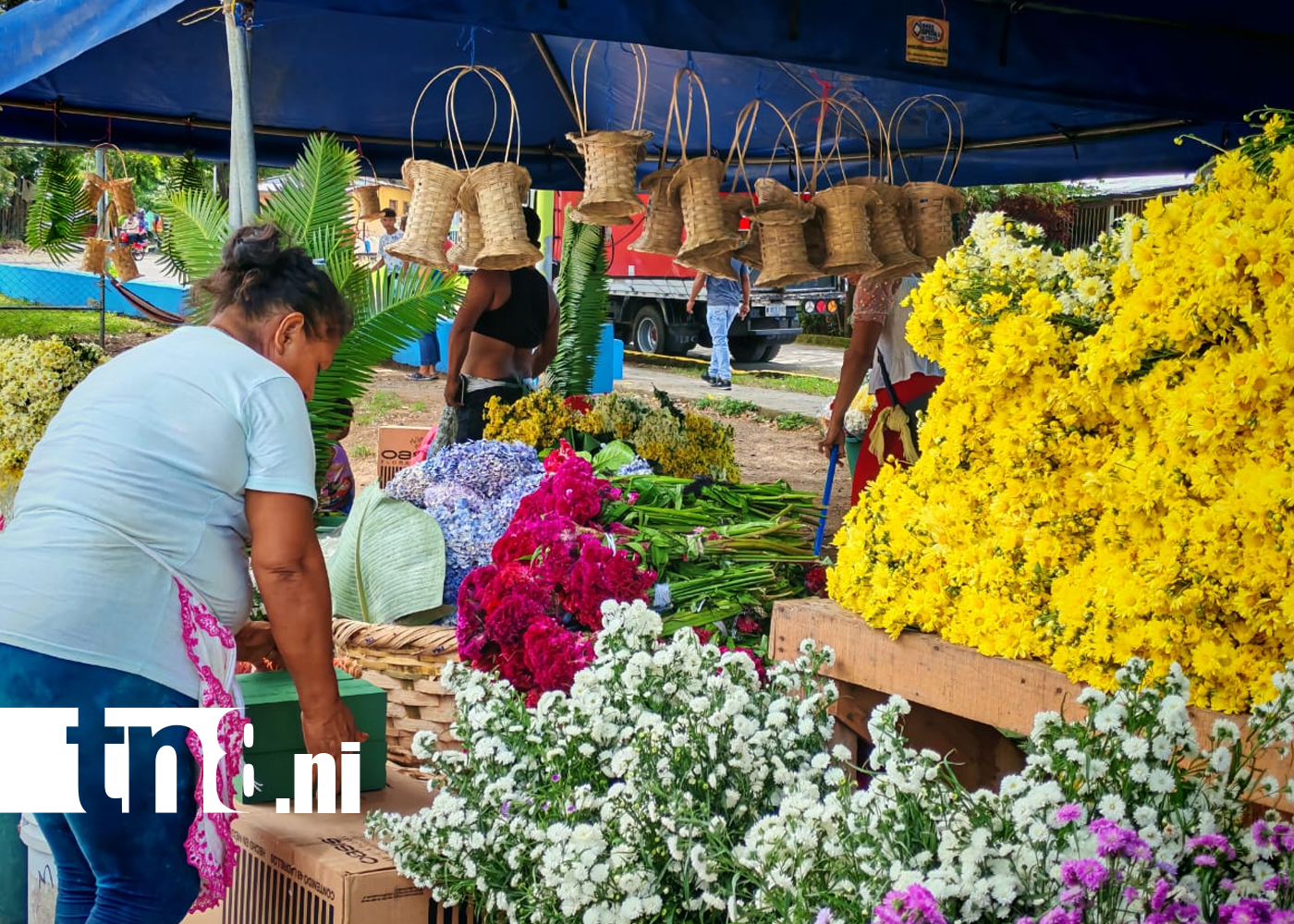 Foto: Feria de las Flores mueve el comercio en Rivas /TN8