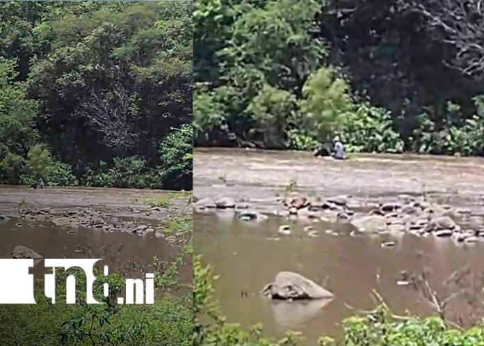 Foto: Muere ahogado cruzando río con su caballo en Matagalpa /TN8
