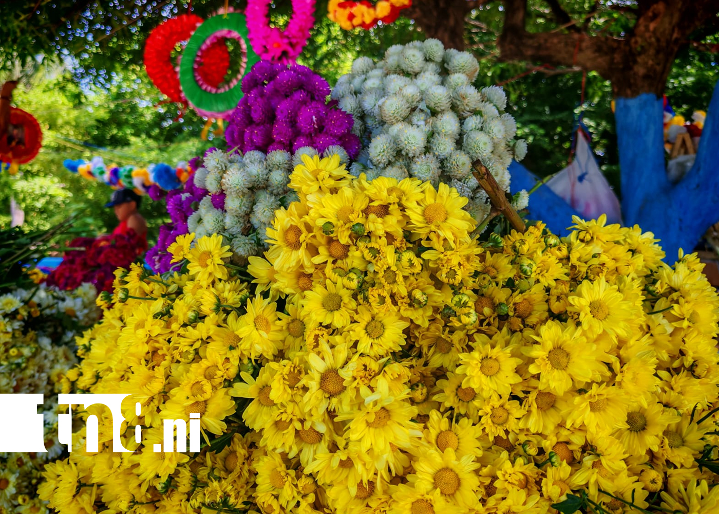 Foto: Feria de las Flores mueve el comercio en Rivas /TN8