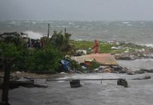 Foto: Jamaica, declarada "zona catastrófica" /Cortesía