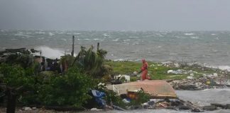 Foto: Jamaica, declarada "zona catastrófica" /Cortesía