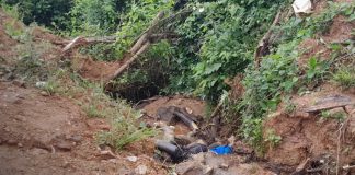 Foto: Tragedia en Nueva Segovia: adulto mayor muere tras caer en una quebrada/TN8