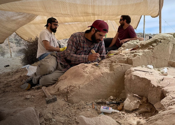 Foto: Huevo de dinosaurio en Argentina /cortesía 