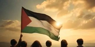 Foto: Punto a punto: así es el plan de paz en Gaza/Cortesía