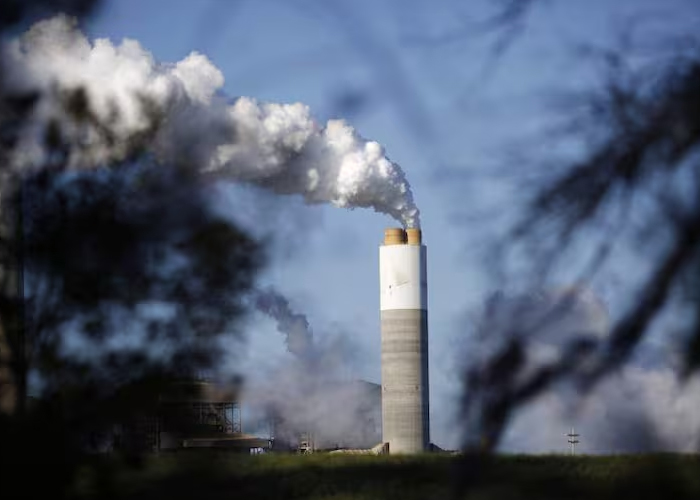 Foto: Brasil plantea crear coalición abierta para fortalecer el mercado de carbono internacional / Cortesía