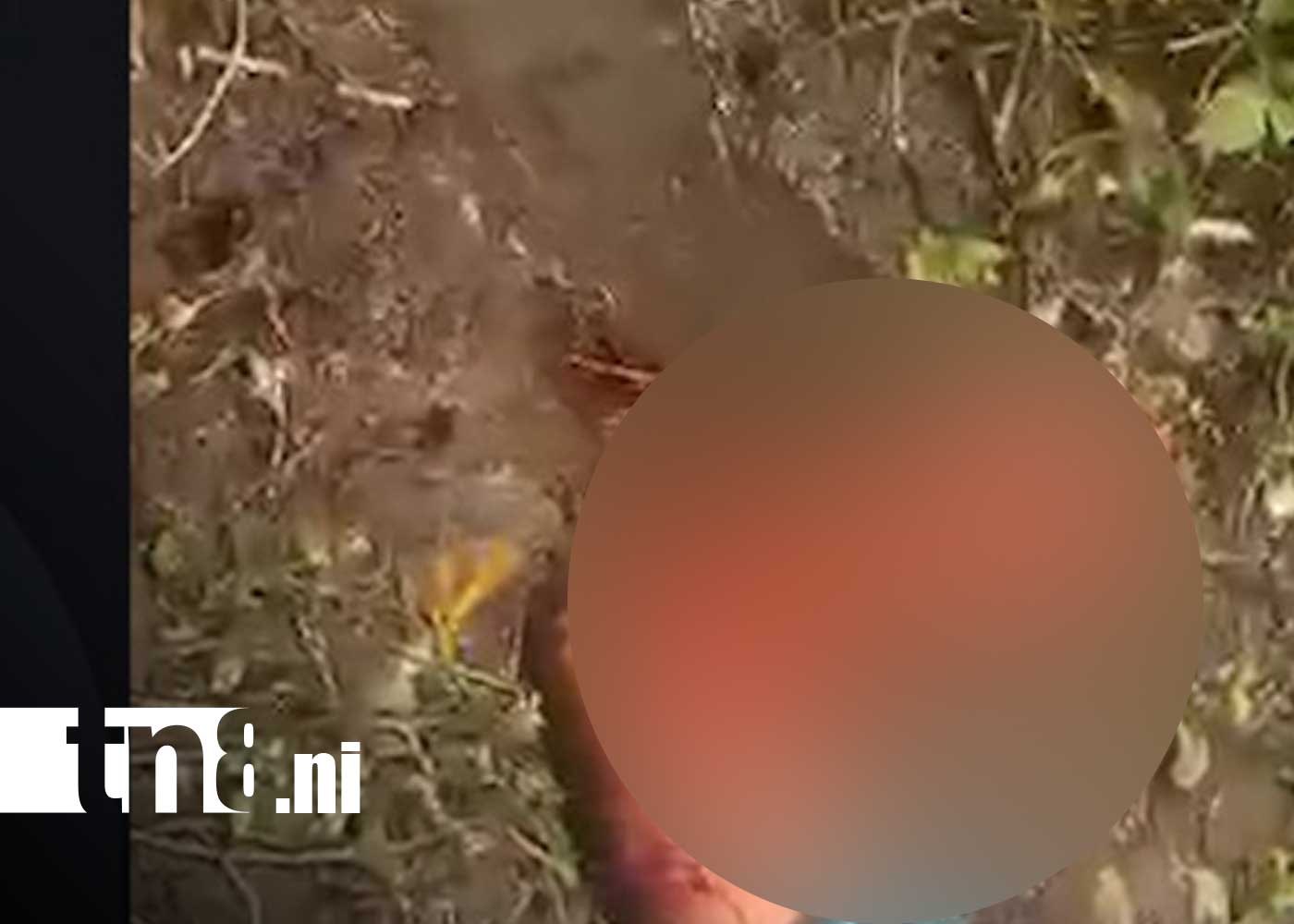 Foto: machetea a supuesto ladrón en Matagalpa / TN8