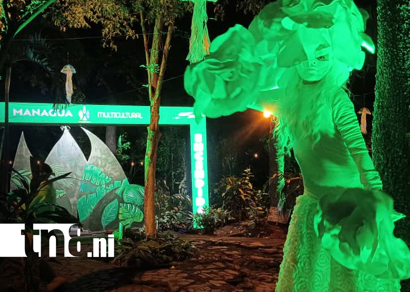 Foto: Managua celebra su 3er aniversario como Ciudad Creativa con "Naturaleza Encendida"/TN8