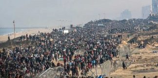 Foto:Comienza intercambio de prisioneros en Gaza/Cortesía