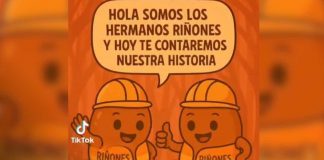 Foto:Video educativo de “Los hermanos riñones”/Cortesía