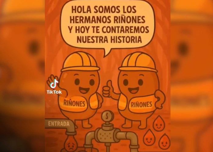 Foto:Video educativo de “Los hermanos riñones”/Cortesía