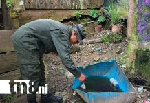 Foto: Batallón Ecológico Bosawas lidera jornada de abatización en Prinzapolka/TN8