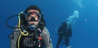 Foto:Tiburón de Galápagos sorprende a biólogo en Costa Rica/Cortesía