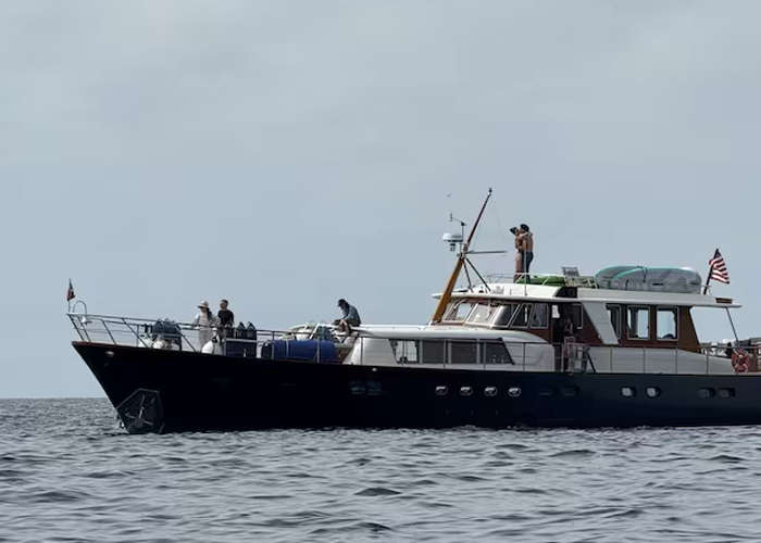 Foto: Katy Perry y Justin Trudeau, ¿noviazgo oficial? / Cortesía