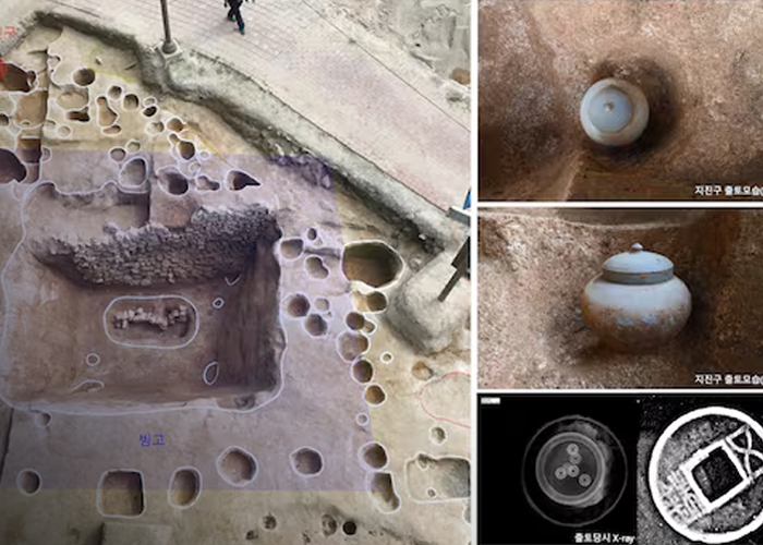 Foto: Hallazgo en Corea del Sur /cortesía