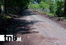 Inauguran camino productivo que dinamiza la economía en Matiguás, Matagalpa Foto: Inauguran camino productivo que dinamiza la economía en Matiguás, Matagalpa/TN8