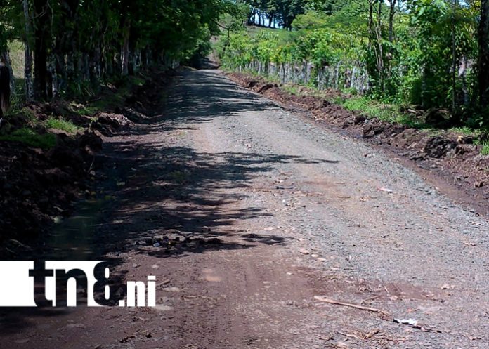 Foto: Inauguran camino productivo que dinamiza la economía en Matiguás, Matagalpa/TN8