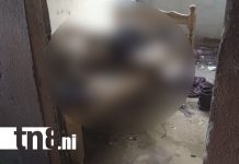 Fuerte hedor alertó a vecinos: hallan muerto a hombre en vivienda abandonada en Estelí Foto: Fuerte hedor alertó a vecinos: hallan muerto a hombre en vivienda abandonada en Estelí/TN8