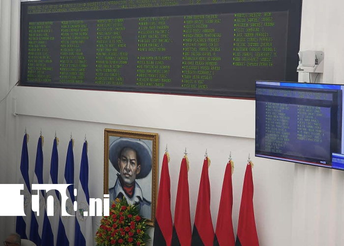 Foto: Asamblea Nacional aprueba crédito millonario para fortalecer la energía renovable/TN8