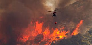 Foto: Fuego arrasa reservas de Bolivia y Paraguay/ Cortesía