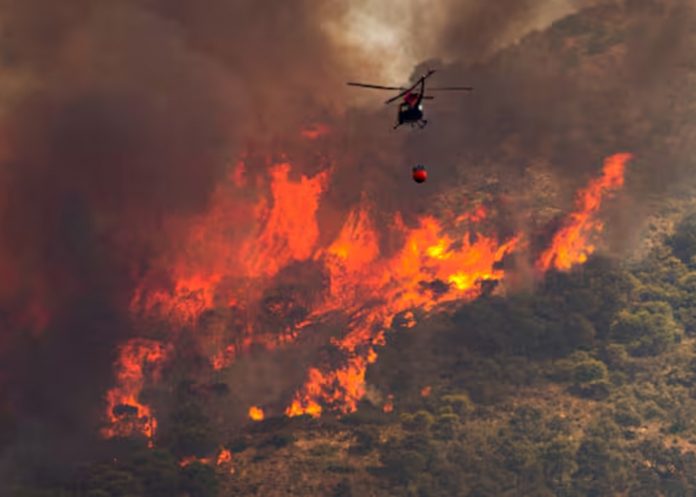 Foto: Fuego arrasa reservas de Bolivia y Paraguay/ Cortesía Foto: Fuego arrasa reservas de Bolivia y Paraguay/ Cortesía